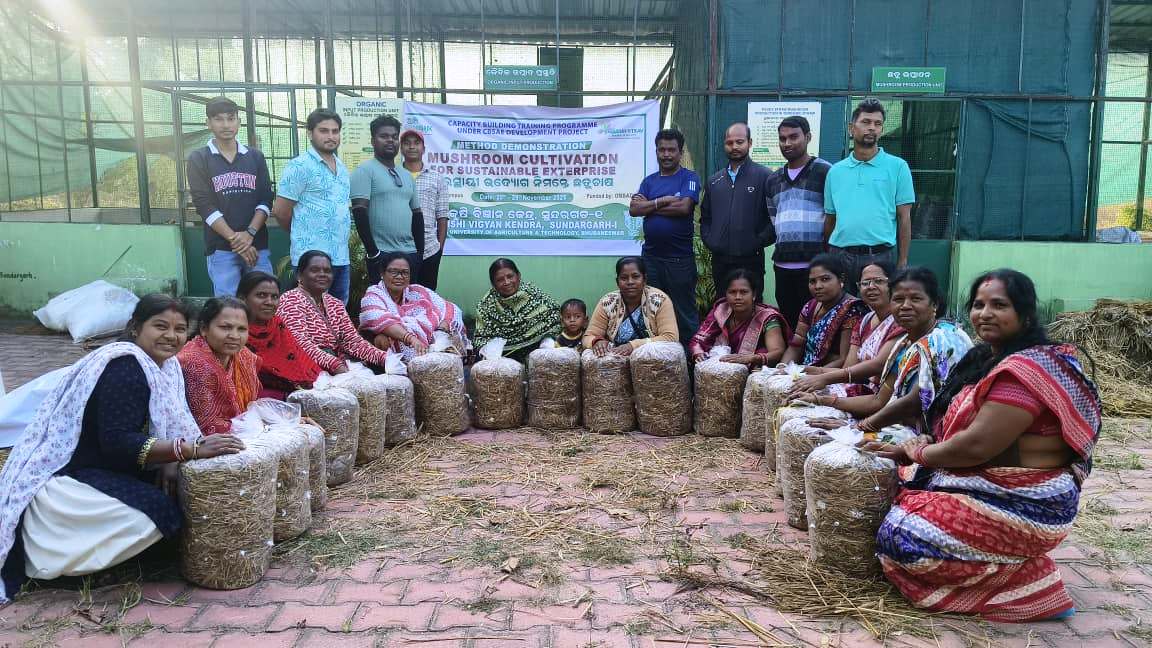 Krishi Vigyan Kendra Sundargarh